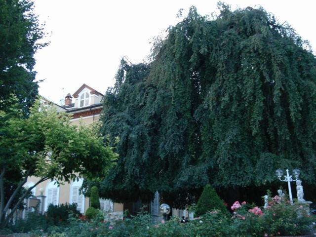 Park Hotel Villa Salzea Trofarello Zewnętrze zdjęcie