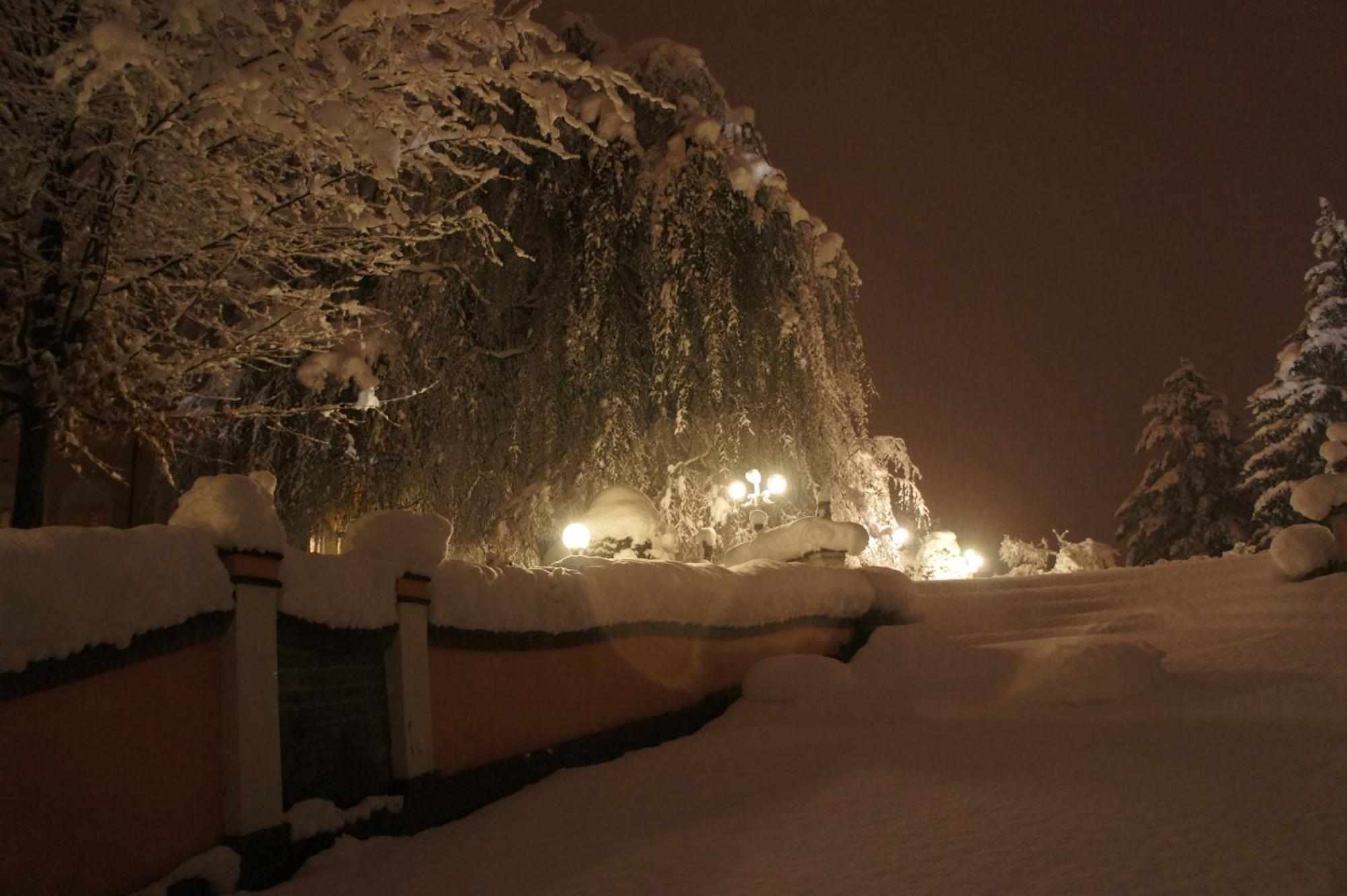 Park Hotel Villa Salzea Trofarello Zewnętrze zdjęcie
